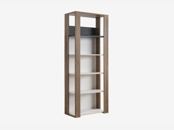 Comfort bookcase