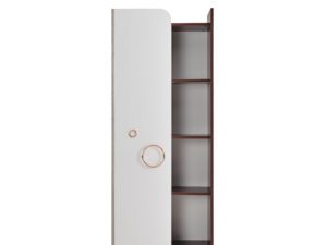 magic bookcase