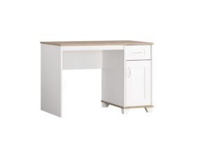 Pink Freesie Study Table