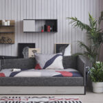 harvey sofa bed