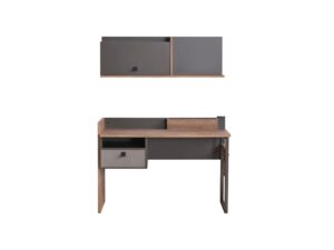 Action Study Table Unit