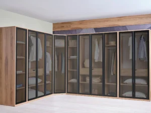 Trio transparent wardrobe door